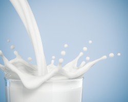 Mælk forbundet med øget dødelighed